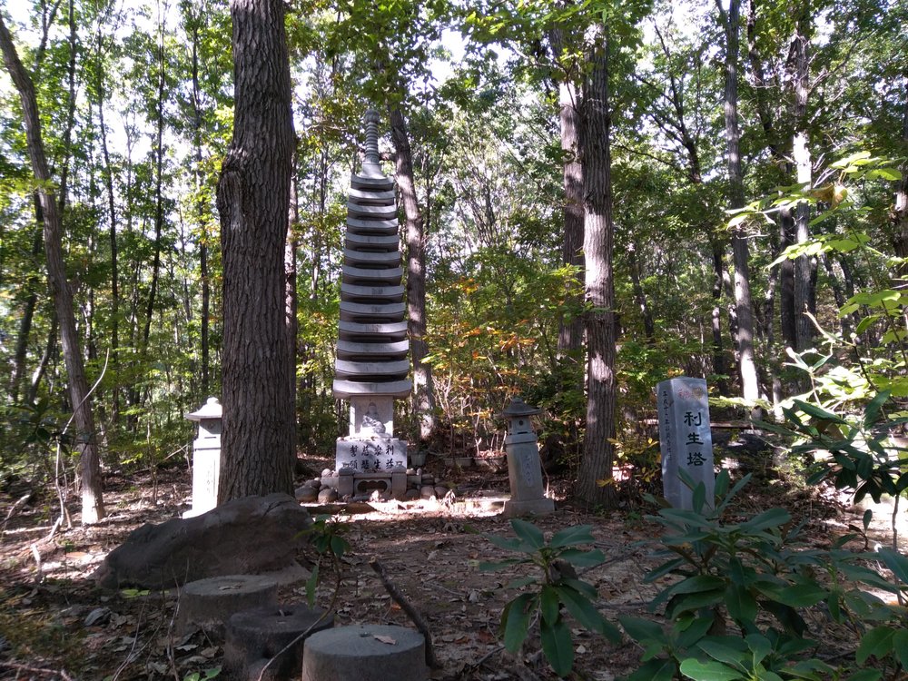 宝登山頂からの絶景を堪能、長瀞アルプストレイルレースコースの写真8