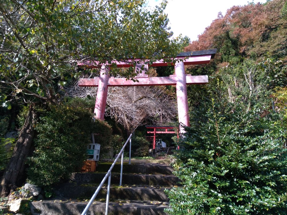 宝登山頂からの絶景を堪能、長瀞アルプストレイルレースコースの写真9