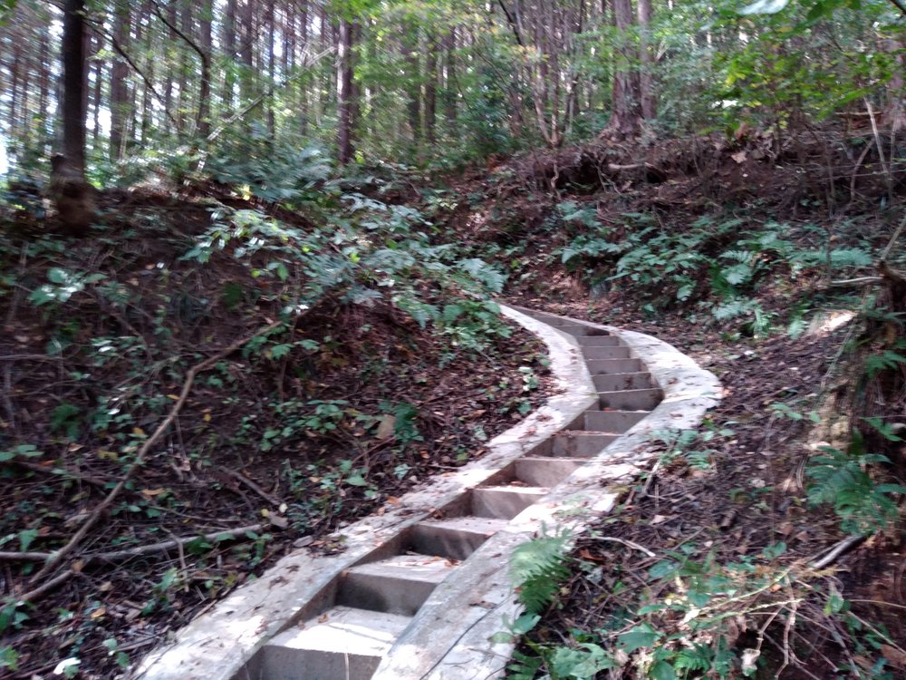 宝登山頂からの絶景を堪能、長瀞アルプストレイルレースコースの写真11