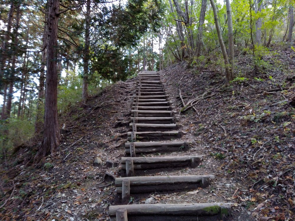 宝登山頂からの絶景を堪能、長瀞アルプストレイルレースコースの写真13