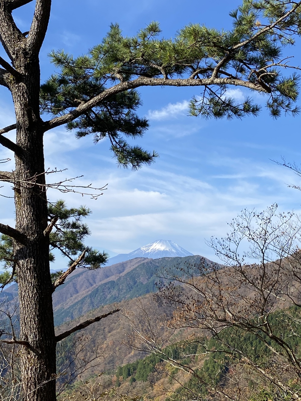 トレイルの登りの練習+景色を堪能するコースの写真4