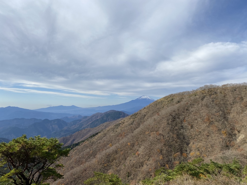 トレイルの登りの練習+景色を堪能するコースの写真6