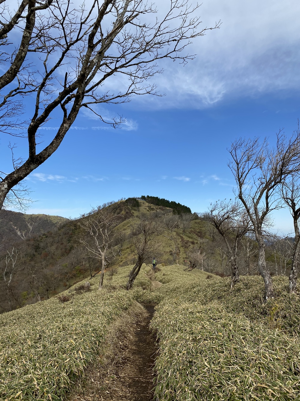 トレイルの登りの練習+景色を堪能するコースの写真8