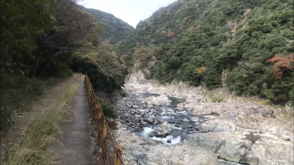 旧 JR福知山線 廃線跡☆これは楽しい！の写真13