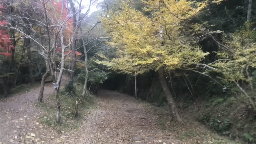 旧 JR福知山線 廃線跡☆これは楽しい！の写真19