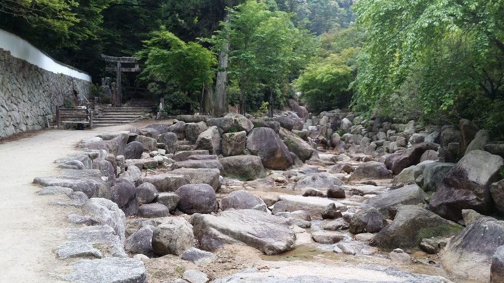 【出張朝ラン】世界遺産！宮島 厳島神社 鳥居にタッチラン の写真6