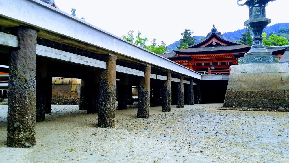 【出張朝ラン】世界遺産！宮島 厳島神社 鳥居にタッチラン の写真10