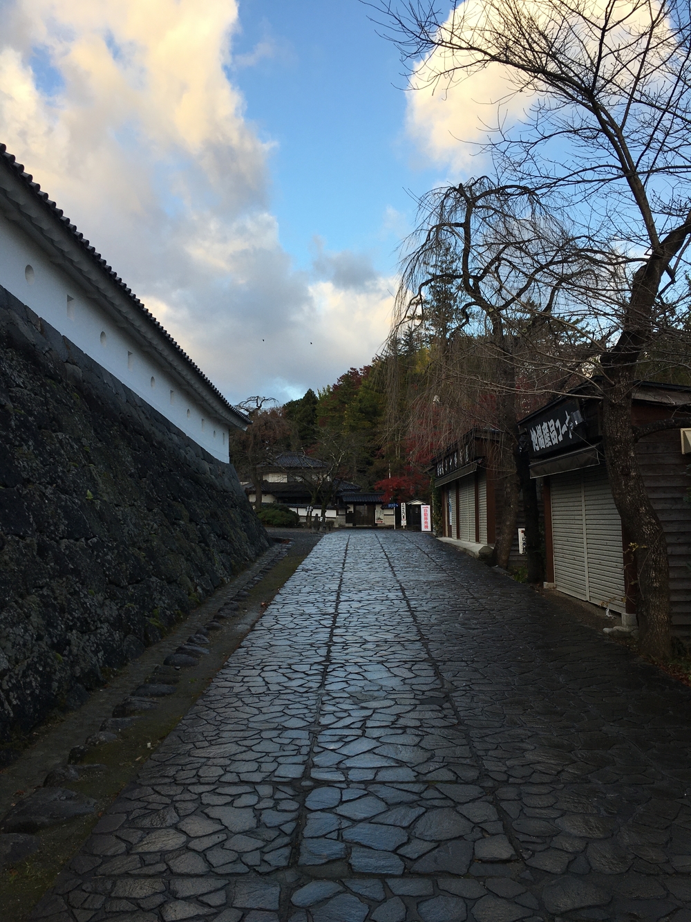 白石蔵王出張ランの写真3