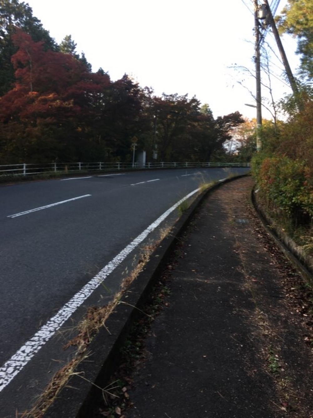 恵那峡Runtrip  岐阜県恵那市の写真7