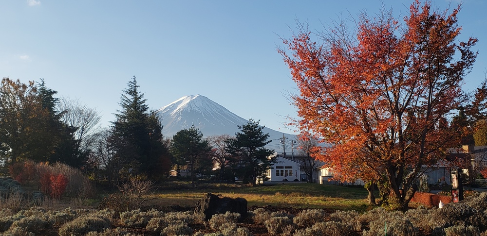 河口湖一周ランの写真3