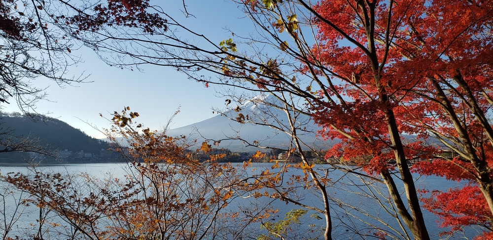 河口湖一周ランの写真10
