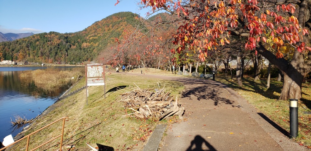 河口湖一周ランの写真11