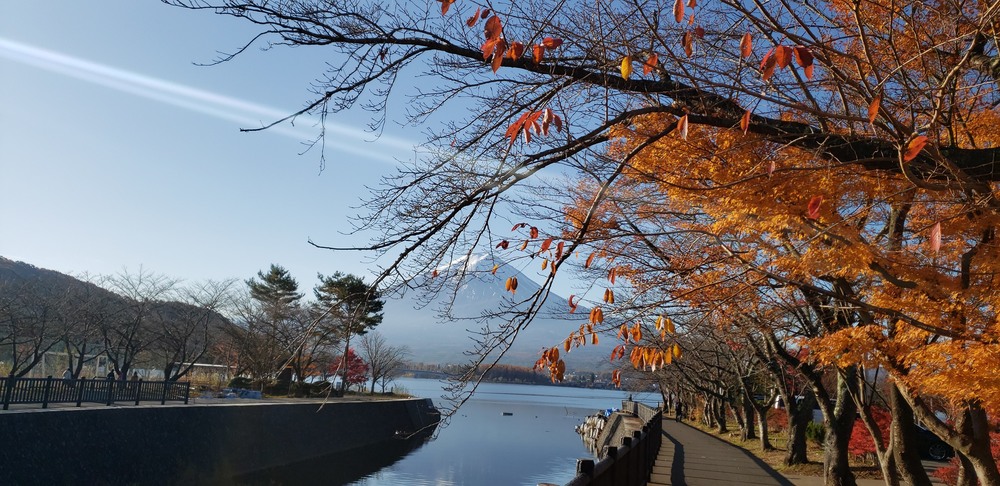 河口湖一周ランの写真13