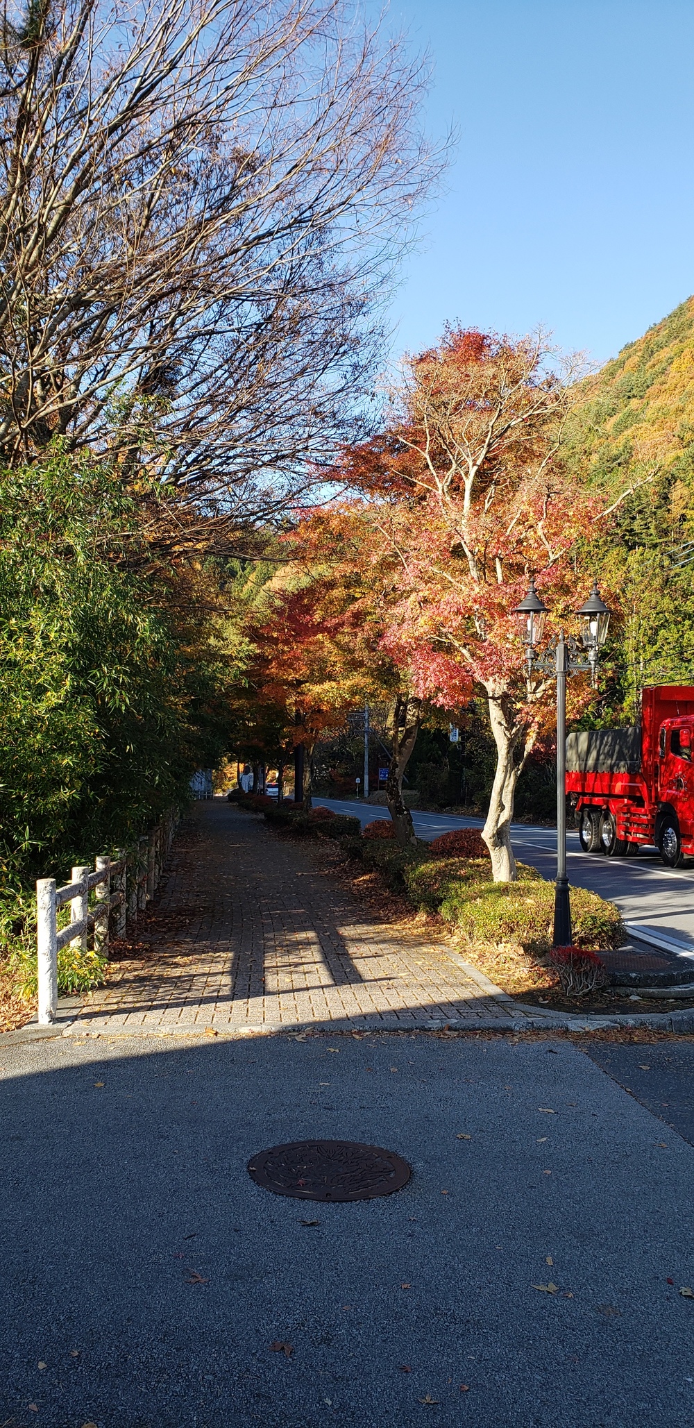 河口湖一周ランの写真14