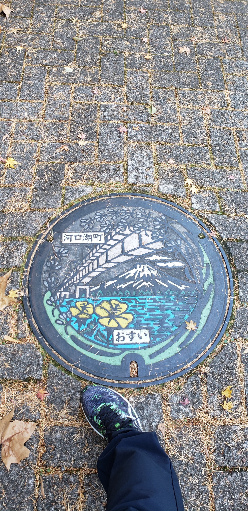 河口湖一周ランの写真15