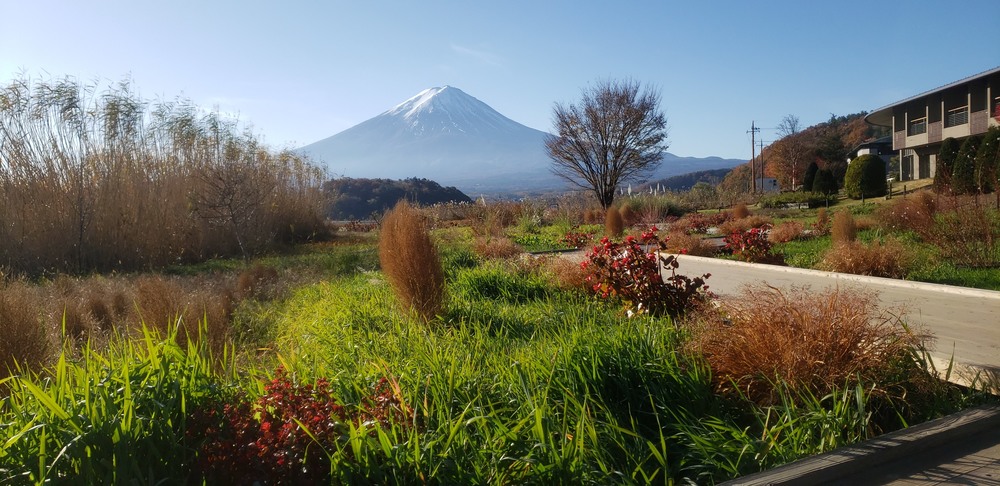 河口湖一周ランの写真16