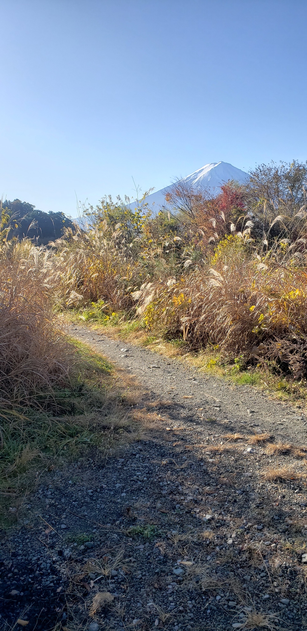 河口湖一周ランの写真18