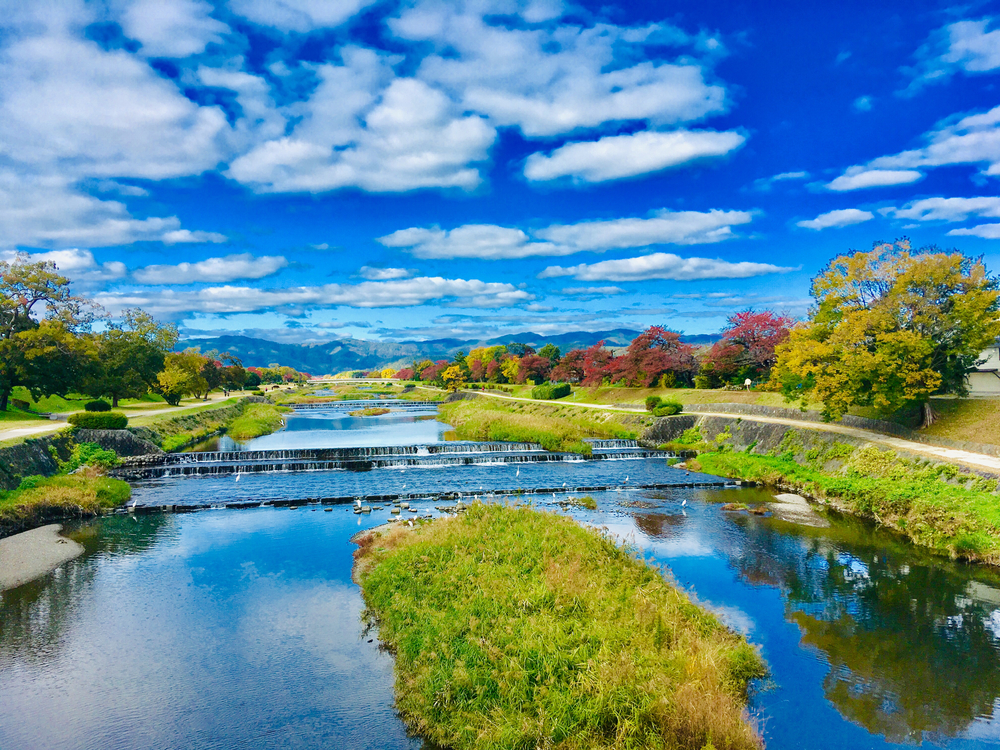最後の長距離練習の写真3