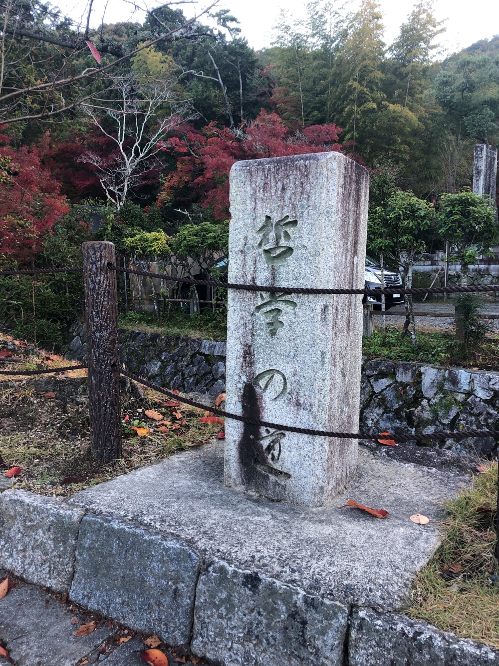 朝活として紅葉🍁目掛けてさくっとランの写真4