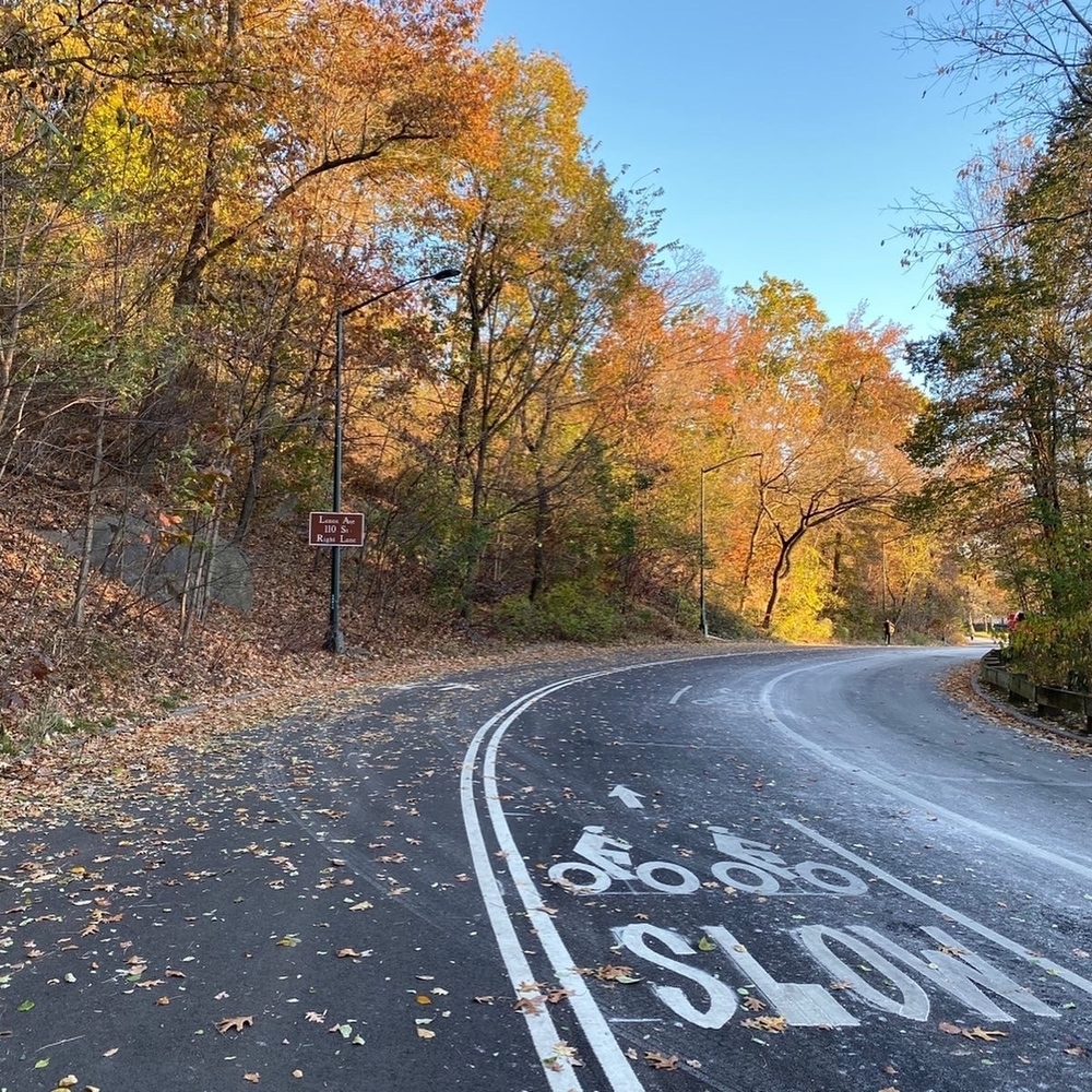 New York Central Parkrun🏃‍♂️の写真6