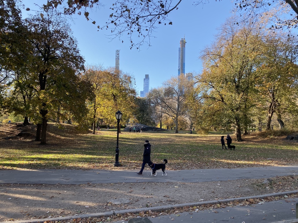 New York Central Parkrun🏃‍♂️の写真8