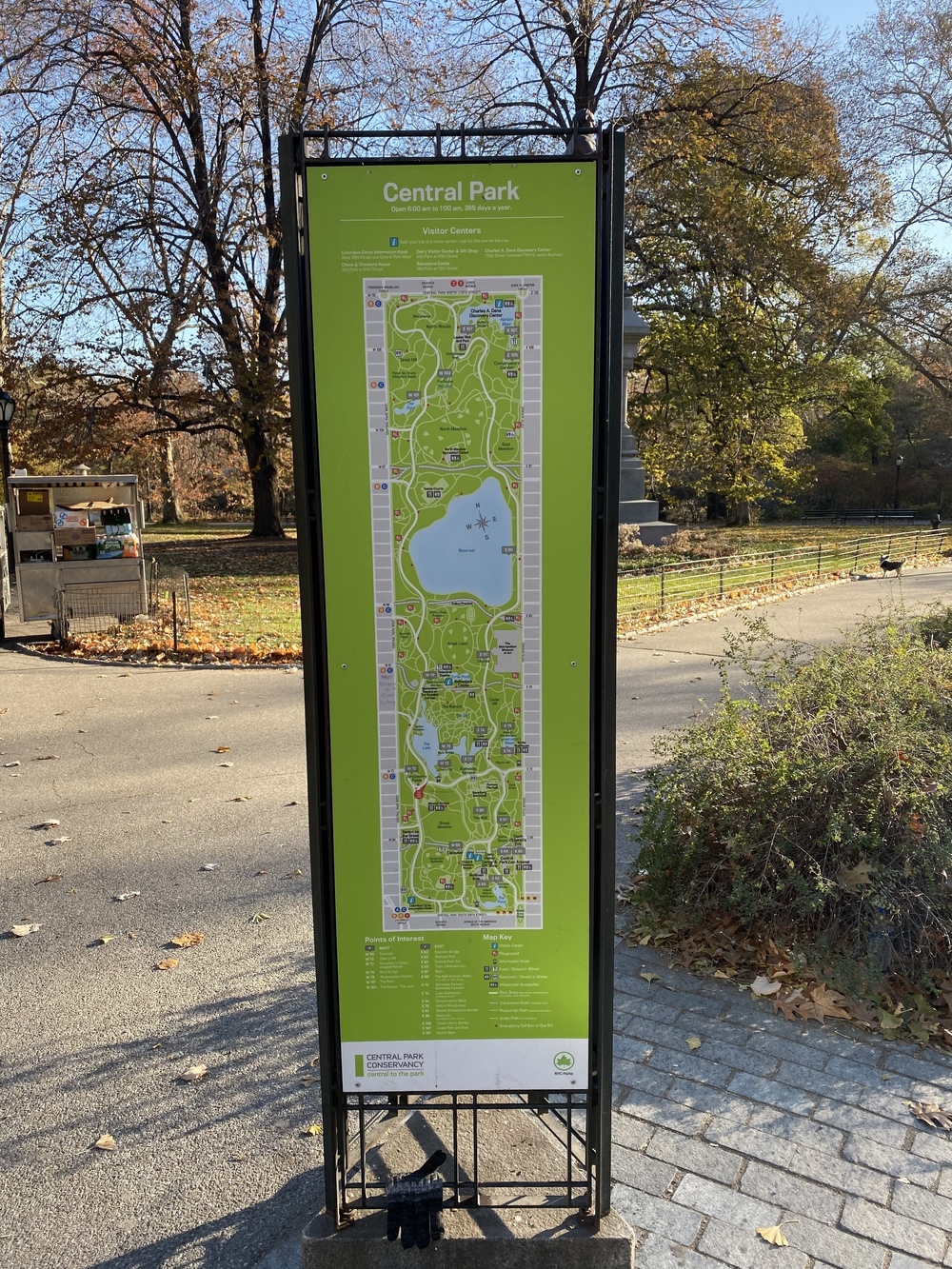 New York Central Parkrun🏃‍♂️の写真9