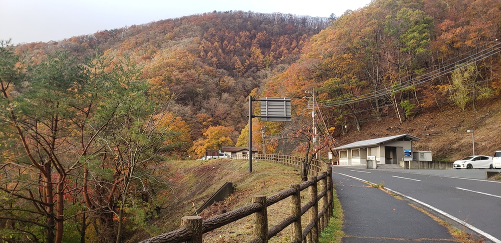 本栖湖一周ランの写真7