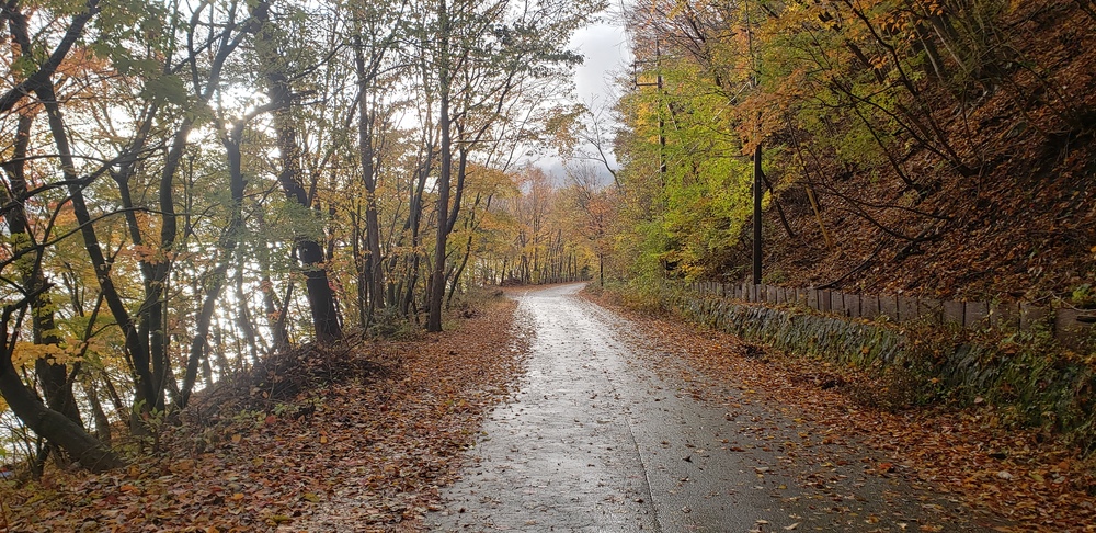 本栖湖一周ランの写真8