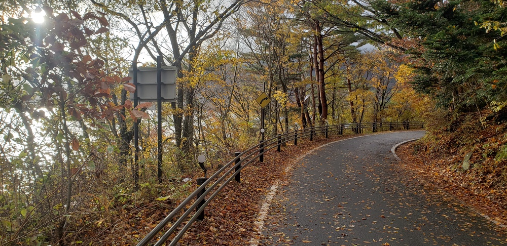 本栖湖一周ランの写真10