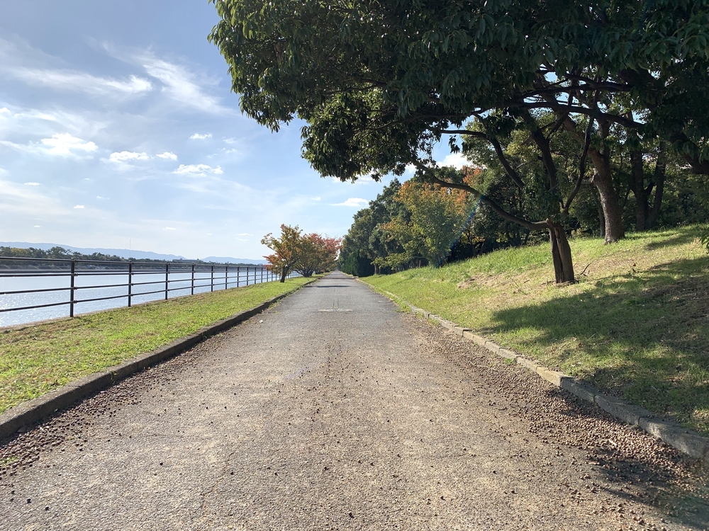 浜寺公園（大阪府堺市） 一周約6.5㎞の周回コースの写真3