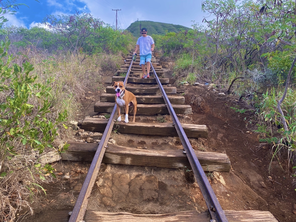 Hawaii Koko head trail⛰の写真5