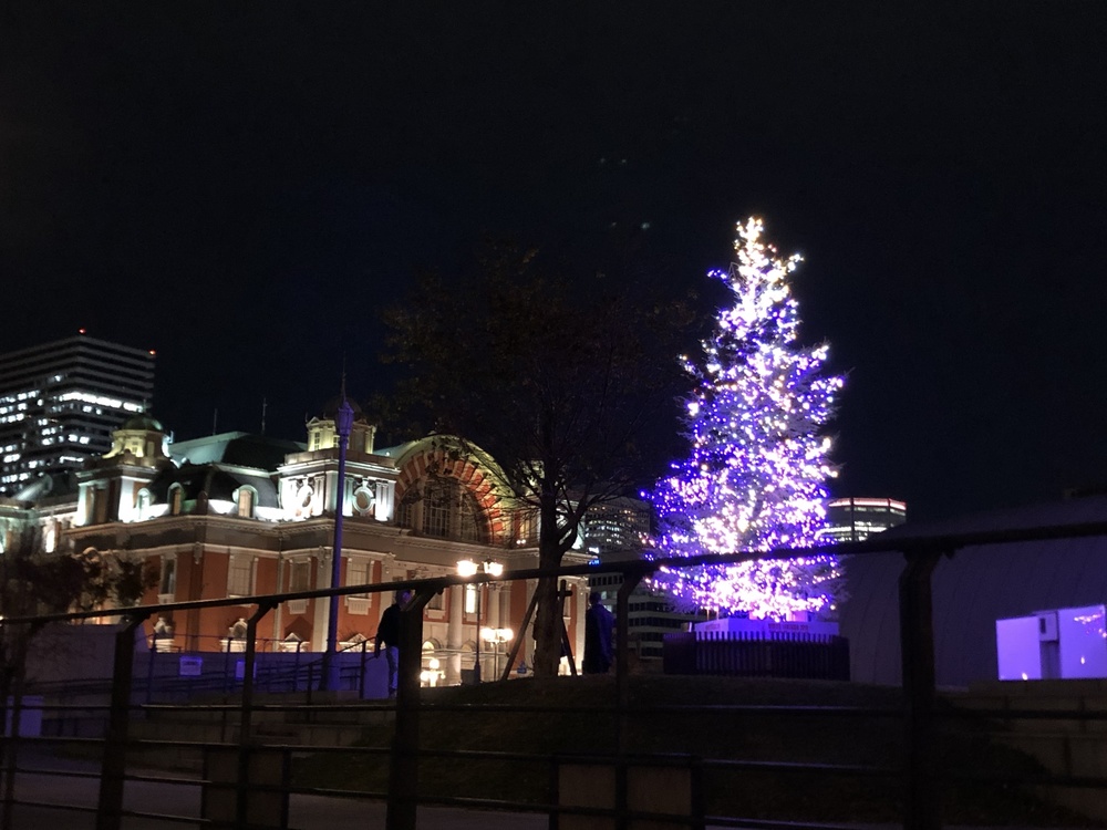 中之島のドリカムツリー6本巡りの写真4