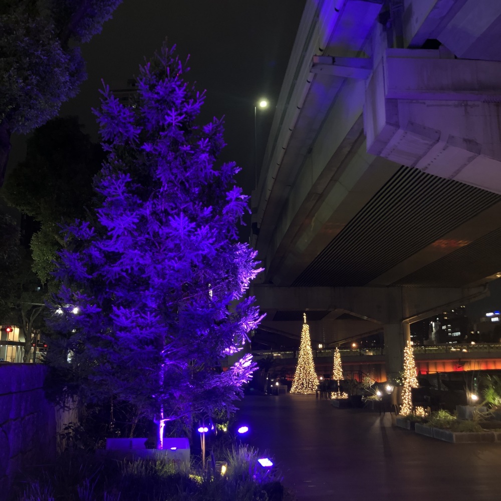 中之島のドリカムツリー6本巡りの写真5