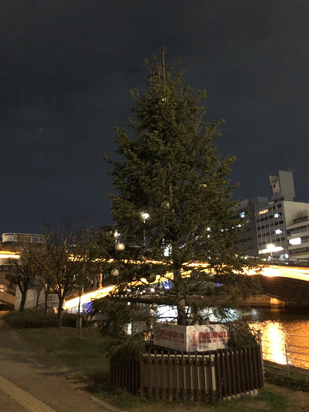 中之島のドリカムツリー6本巡りの写真6