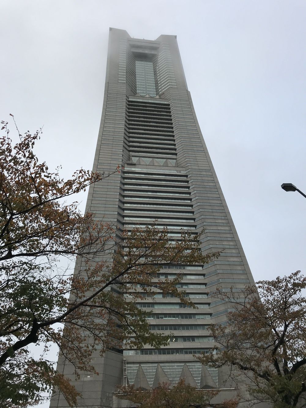 YOKOHAMA  Morningの写真4