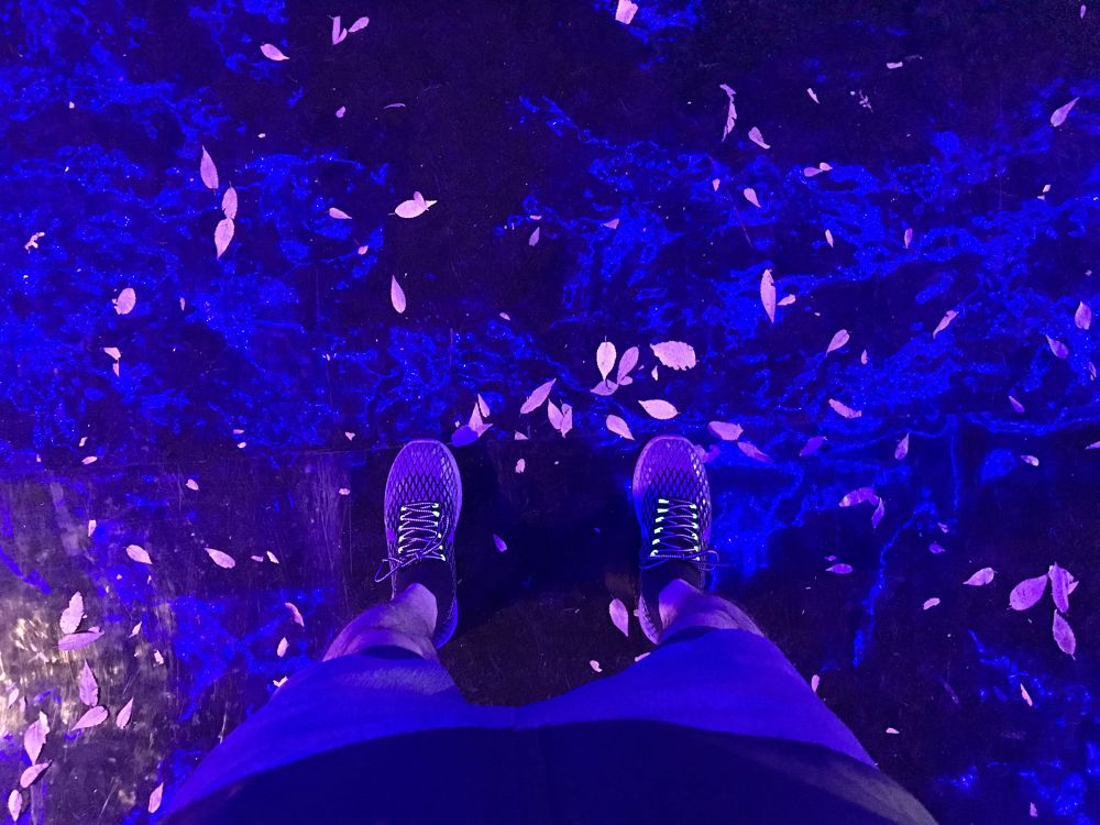 青の洞窟イルミネーションをめぐるアーバンナイトランコースの写真3