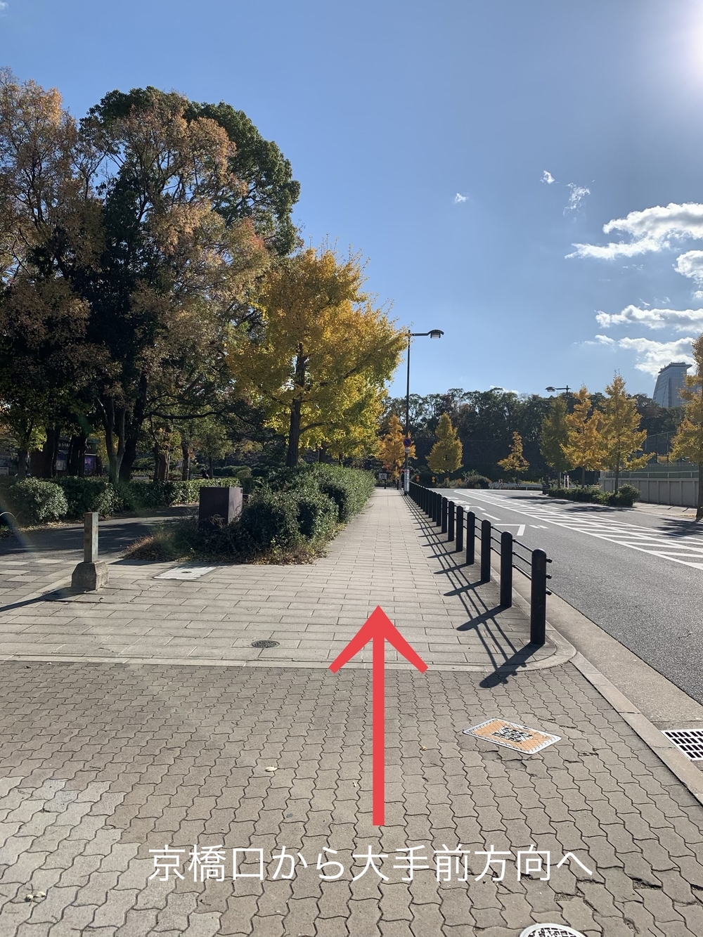 大阪城ぐるり(外周、一部園内コース)の写真3