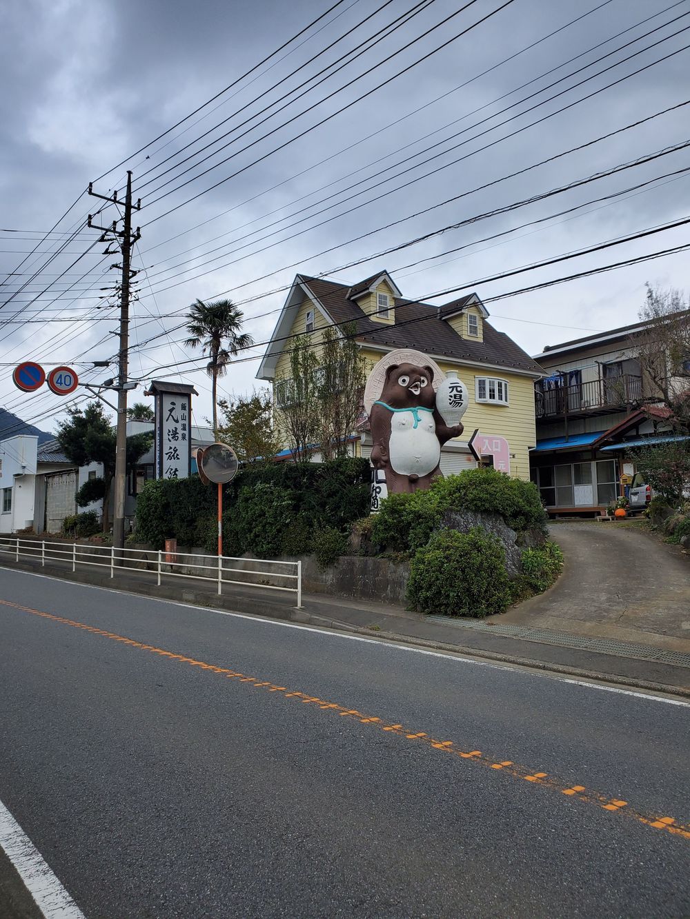 厚木自然RUN🏃‍♂️🏃‍♀️💨の写真5