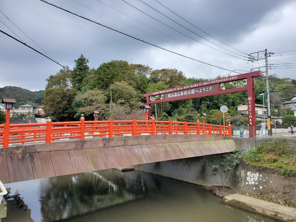 厚木自然RUN🏃‍♂️🏃‍♀️💨の写真6