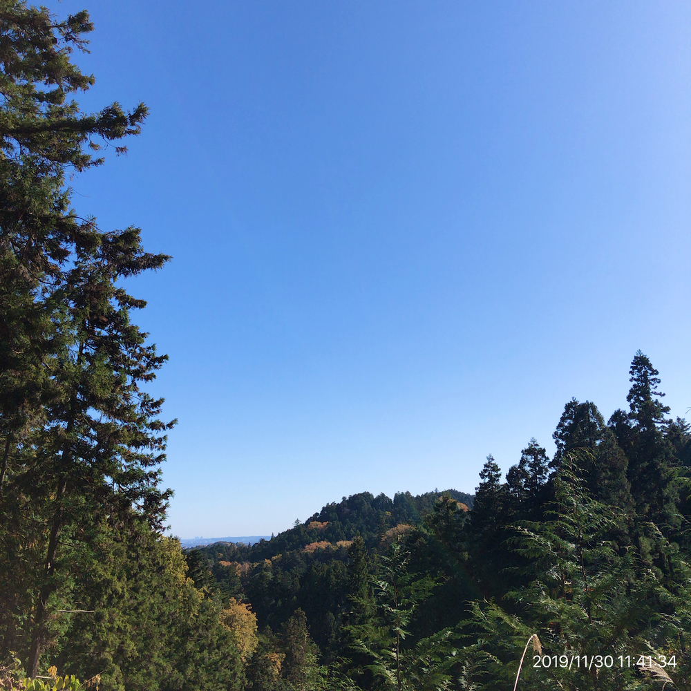 日の出町Run&Trail(武蔵五日市駅→かやくぼ→林道台沢線→林道西の入・ホオバ沢線→武蔵五日市駅)の写真3