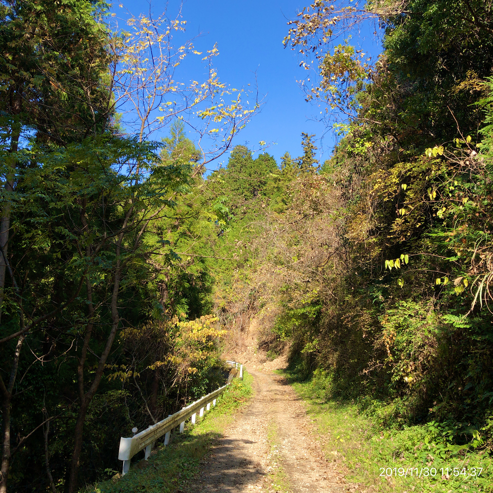 日の出町Run&Trail(武蔵五日市駅→かやくぼ→林道台沢線→林道西の入・ホオバ沢線→武蔵五日市駅)の写真4