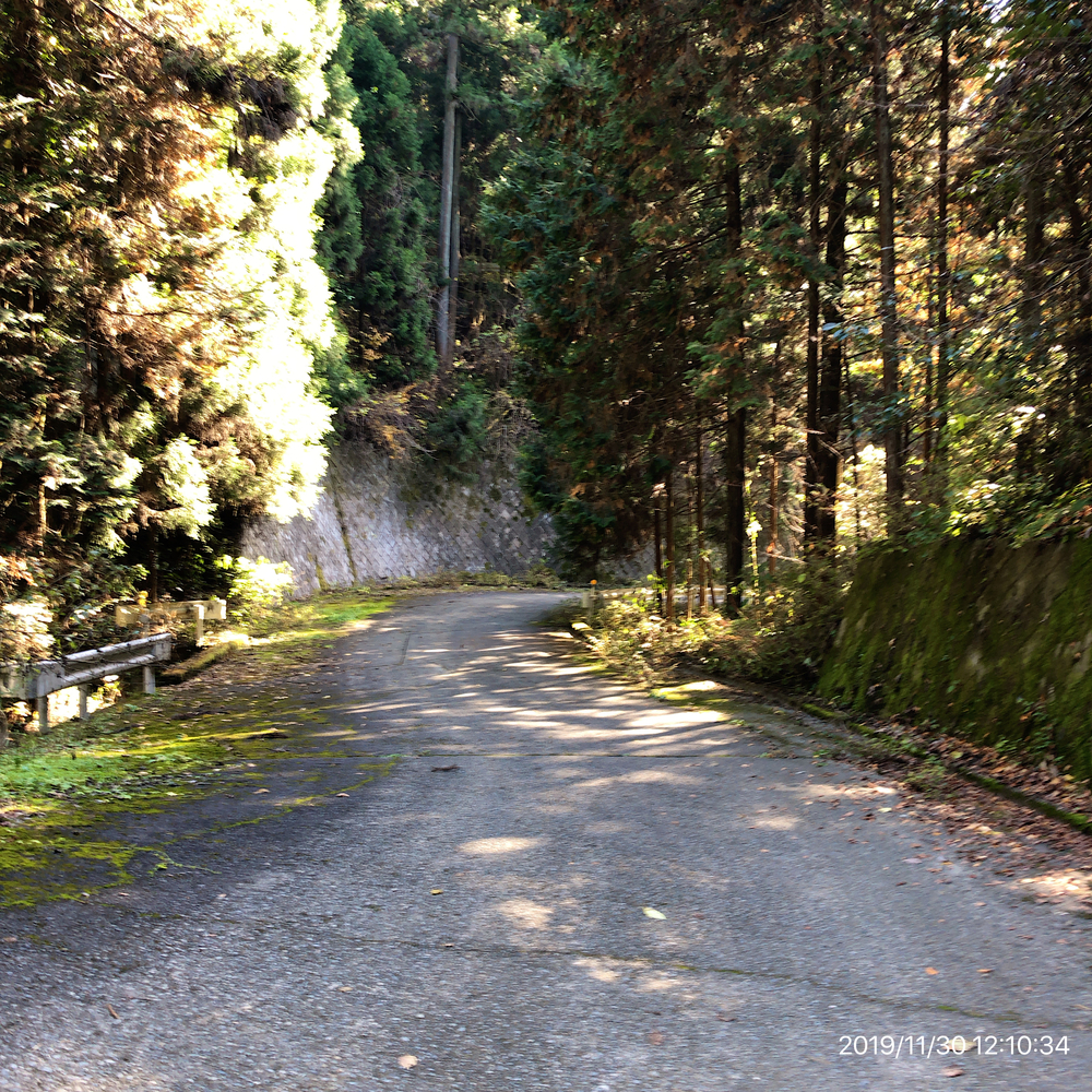 日の出町Run&Trail(武蔵五日市駅→かやくぼ→林道台沢線→林道西の入・ホオバ沢線→武蔵五日市駅)の写真6
