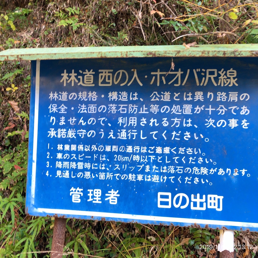 日の出町Run&Trail(武蔵五日市駅→かやくぼ→林道台沢線→林道西の入・ホオバ沢線→武蔵五日市駅)の写真8