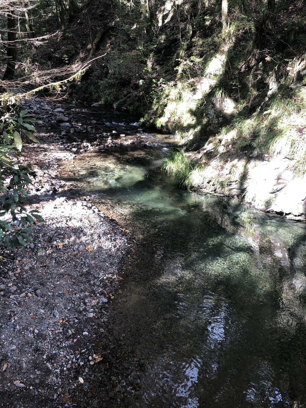 御前山トレランコース★清流のせせらぎを楽しみながらのトレイルランコースの写真3