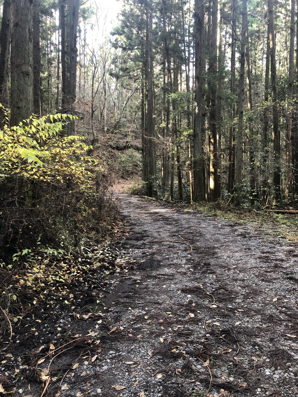 御前山トレランコース★清流のせせらぎを楽しみながらのトレイルランコースの写真4