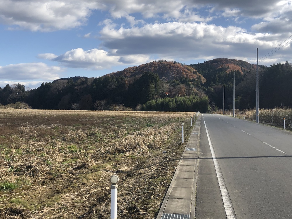 御前山トレランコース★清流のせせらぎを楽しみながらのトレイルランコースの写真6