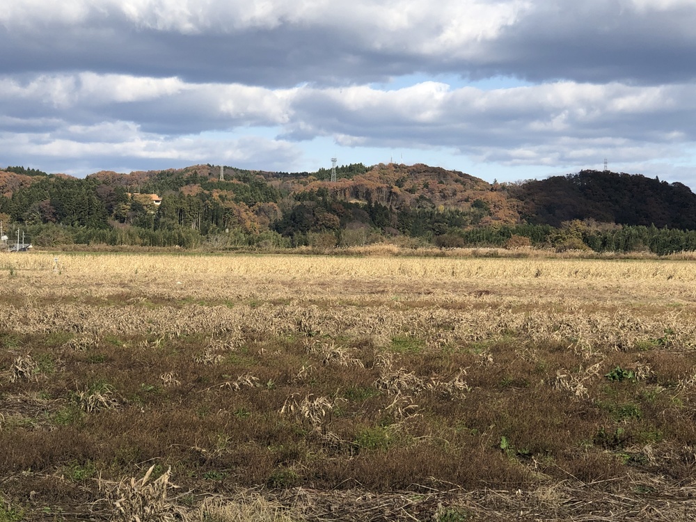 御前山トレランコース★清流のせせらぎを楽しみながらのトレイルランコースの写真7