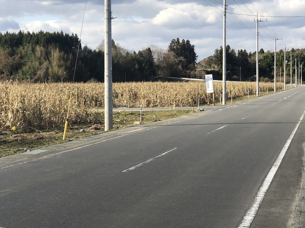 御前山トレランコース★清流のせせらぎを楽しみながらのトレイルランコースの写真8