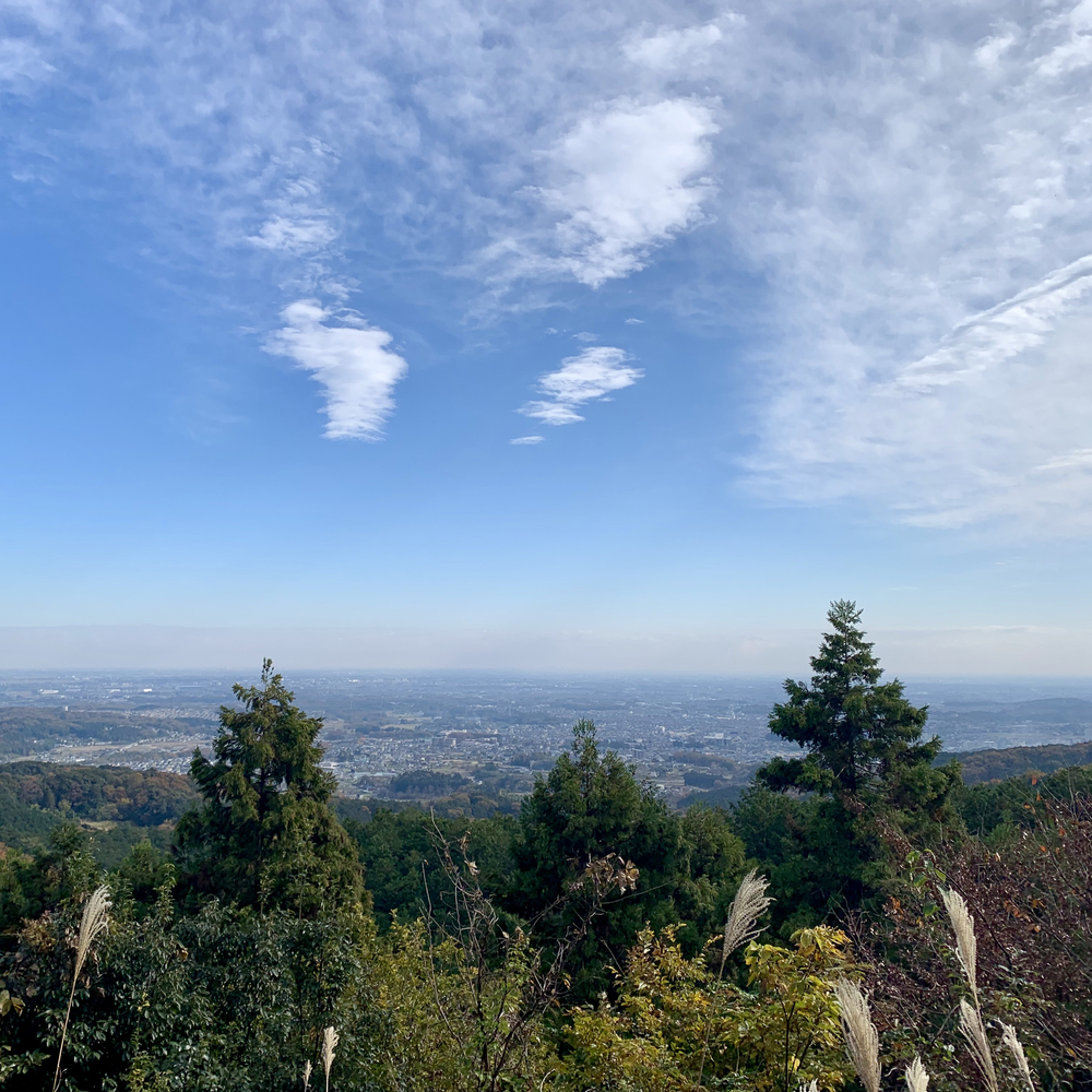 ちょこっとトレイル in 大高取山の写真3