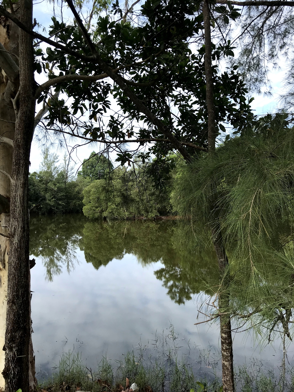 プーケット・マイカオビーチとプルジェサン湖の写真3